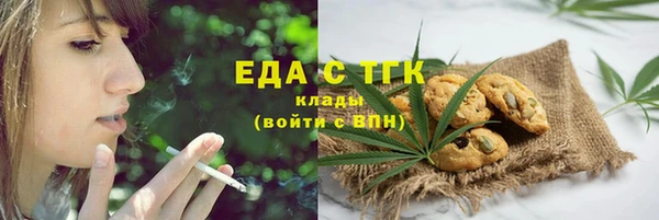гашик Тавда